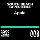 South Beach Experience - Fighting Sambo
