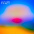 DC Salas - Undivided