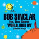 Bob Sinclair & Steve Edwards - World Hold On (Children of the sky) (feat. Steve Edwards)
