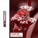 Sam Shelby, Leo Oli - Cookies (Original Mix)