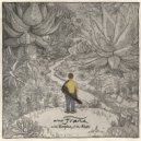amaFranx - In Reaching (Aloë Seedling)