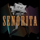 Pillows - Senorita