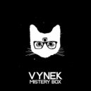 Vynek - Mistery Box (Original Mix)