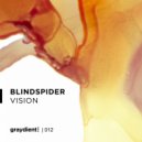 BlindSpider - Vision