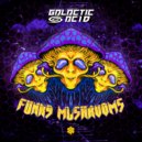 Galactic Acid - Funky Mushrooms