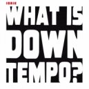 Iorie - What is downtempo?
