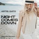 Artis Gato - Night Comes Down (Radio Mix)