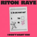Riton & RAYE - I Don't Want You