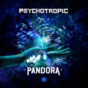 Psychotropic - Pandora (Original Mix)