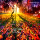 VA - PSYTERRA 2021 AUTUMN/Mixed by D&mON