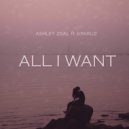 N3KRUZ ft. Ashley Zeal - All I Want (Original Mix)