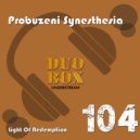 Probuzeni Synesthesia - Structure