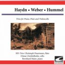 Christoph Haarmann & Otmar Zwiebelhofer & Bernhard Maier - Hummel - Trio for piano, flute and violoncello op. 78 - Thema: Allegretto, Variations I-VII