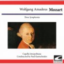 Capella Istropolitana - Symphony no. 16 KV 128 in C major: Andante grazioso