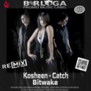 Kosheen - Catch (Bitwake Radio Edit)