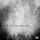 Hector Oaks - The Life I Choose (Original mix)