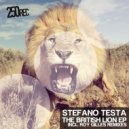 Stefano Testa - Drop To Drop (Roy Gilles Early Raw Construction)