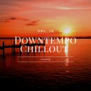 Chill Carrier - Ordinary Anomalies (Original Mix)