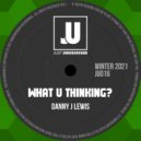 Danny J Lewis - What U Thinking?