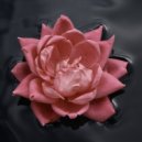 AZ - Red Roses ()