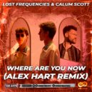 Lost Frequencies & Calum Scott - Where Are You Now