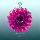 Modbit - Calypso