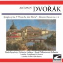 Radio Symphony Orchestra Ljubjana - Symphony no. 9 \'From the New World\' in E minor op.95 - Adagio-Allgro molto ()