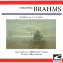 Junge Suddeutsche Philharmonie Esslingen - Symphony no. 1 in C minor - Andante Sostenuto ()