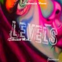Electronica House & Joevasca - Levels (Original mix)