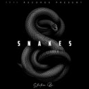 Stuntman Ron - Snakes (Original Mix)