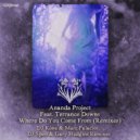 Ananda Project Ft. Terrance Downs - Where Do You Come From