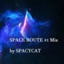 SpacyCat - Space Route #1