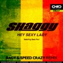 Shaggy feat. Sean Paul - Hey Sexy Lady