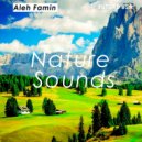 Aleh Famin - Nature Sounds (Original Mix)