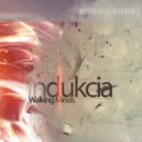 Indukcia - Walking Minds ()