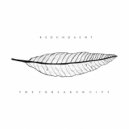 Redundaent - Restoration Process (Original mix)