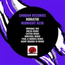 Horatio & Saytek - Midnight Acid (Saytek Remix)