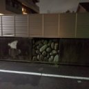 Dirty Lee - Ikura ()