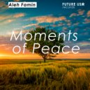 Aleh Famin - Moments of Peace