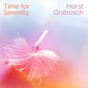 Horst Grabosch - Introduction to Compilation Time for Serenity