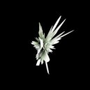 Michael Wall - Broken Glass ()