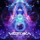 Vertikka - Infinite Life (Original Mix)