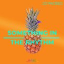 Jo Paciello - Something In The Rhythm (Original Mix)