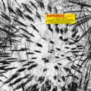 Casiopepe - Moustache 2 Moustache (Original Mix)