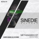 Shayan Pasha - Methanabbis