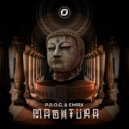 P.R.O.G. & EMIRX - Mashtura (Original Mix)