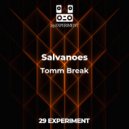 Salvanoes - Vibe Chill (Original Mix)