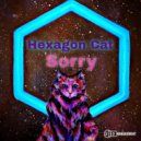 Hexagon Cat - Sorry