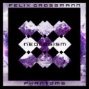 Felix Grossmann - Dark Control (Original Mix)
