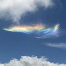 Yard One - Iridescence